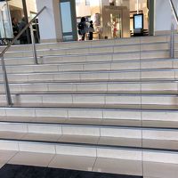 入口。10段程の階段を20kgのスーツケースを持って上がれ！