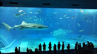 一度は行きたい