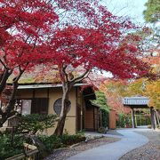 雰囲気抜群のカフェ