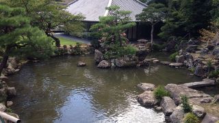 本堂への階段から見渡せる