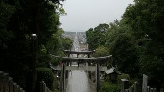 光の道の景色が素敵。案外奥は広い敷地です。