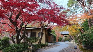 雰囲気抜群のカフェ