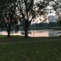 ホテルの裏手に大きな池があります。