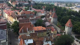 ロープの手すりが命綱、がんばったらご褒美が待ってました。