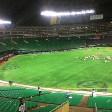 いい眺めです。