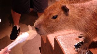 日によって　ものすごく混雑します