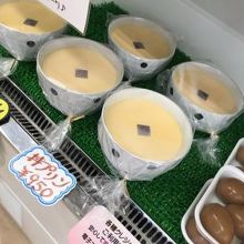 なかなか大きさは伝わらない。。。