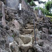 疑似富士登山