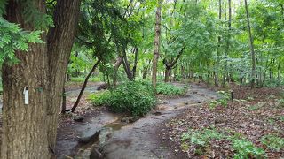 晩夏ではあまり見どころがないかな