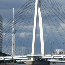 水上バスからの風景