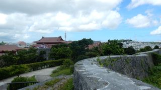 庭というよりも・・・・・・