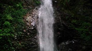 日本の滝１００選の払沢の滝は見事でした、マイナスイオンで癒されます
