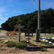 遺跡を掘り起こした発掘跡だけで見学すべきものはあまりありませんでした。