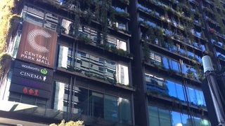 壁が植物で覆われて