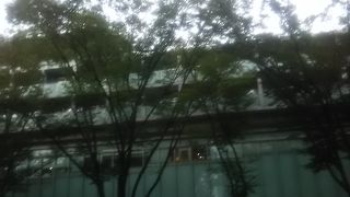 11月ぐらいからイルミネーションが大変綺麗