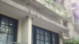 無料の施設が多いので大変表参道らしい雰囲気を楽しむことができる。