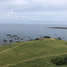 芝がきれいに手入れされています