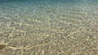 透明度の高いビーチ
