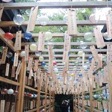 夏季限定、風鈴の回廊