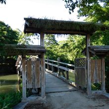 水辺の散歩道から御花に生ける出逢い橋