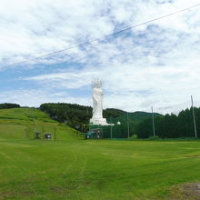 この芝生の広場が清々しい