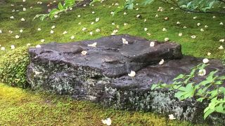 『平家物語』に想いをはせる…沙羅双樹の塔頭・東林院