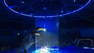 都会型のスタイリッシュな水族館