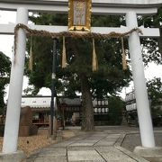 県神社