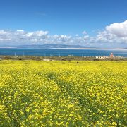 大きくて本当に青い綺麗な湖でした。