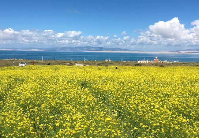 大きくて本当に青い綺麗な湖でした。