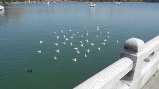 アクセスのよい公園