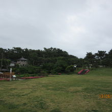 広い公園