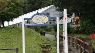 生活の木の商品があります。