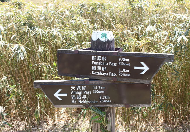 仁科峠、達磨山、金冠山の周辺をピンポイントで歩きました。