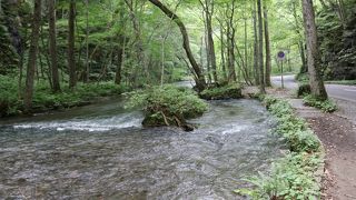 朝早めに出かけるのがおススメ！