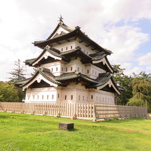 何となしに頼りなげに見えますな