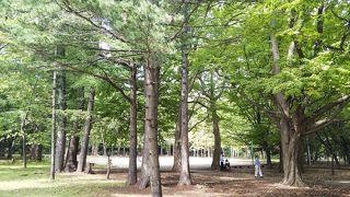 9月上旬は、まだまだ緑豊かでした