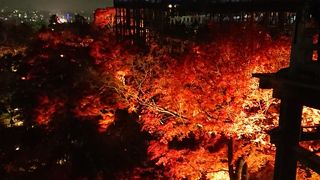 改修工事中！？