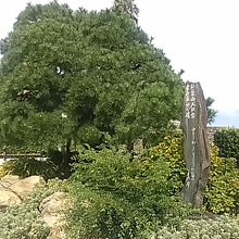 貫一お宮の像とお宮の松の間にあります。あまり目立ちません。