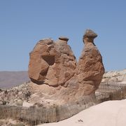 カッパドキアの奇岩らくだ岩を観た後に本物の駱駝に騎乗することもできます。