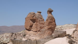 カッパドキアの奇岩らくだ岩を観た後に本物の駱駝に騎乗することもできます。
