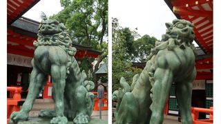 ムキムキの狛犬は必見！？(笑)