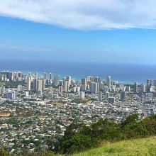 展望台からの景色