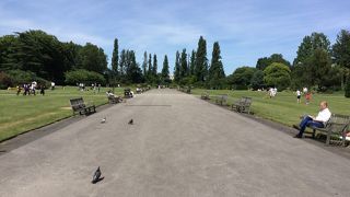 リージェンツパークの中にあるバラ園に行きました