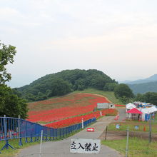 1度目、営業開始時間前は入れませんでした