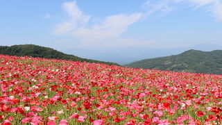 入場開始時間の前に行ってもダメです