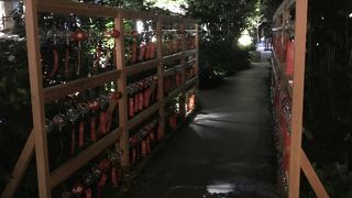 アートアクアリウム夏祭りをしてました