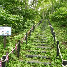 うおー、熊出てきませんように！！！