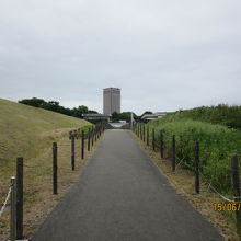 公園から霞城セントラルビルを臨む