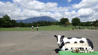 一度は訪れたい有名施設…かな